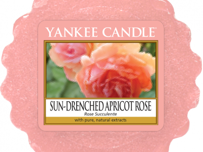 Yankee Candle 1577164E